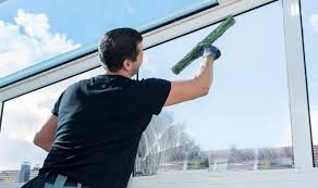 Windows Cleaning